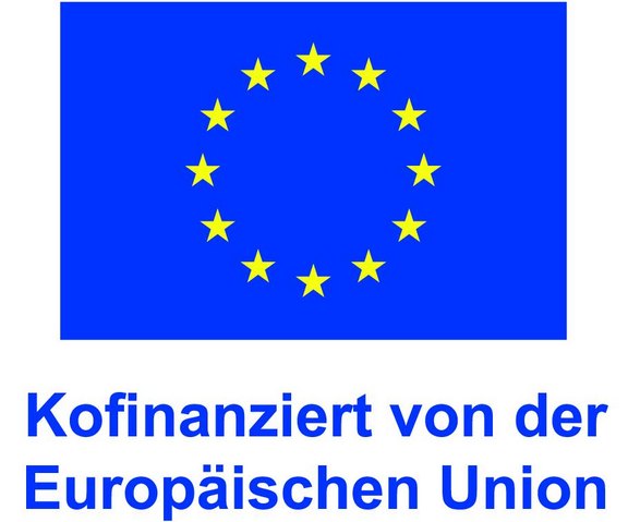DE_V_Kofinanziert_von_der_Europäischen_Union_POS.jpg  